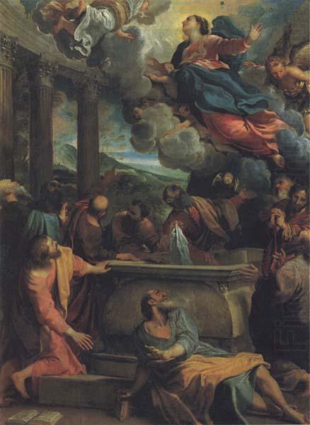 Annibale Carracci The Assumption of the Virgin china oil painting image